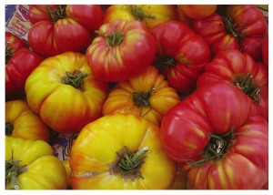 tomatoes1